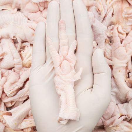 업소용 뼈없는 닭발 무뼈닭발 1kg 국내산 냉동 생닭발