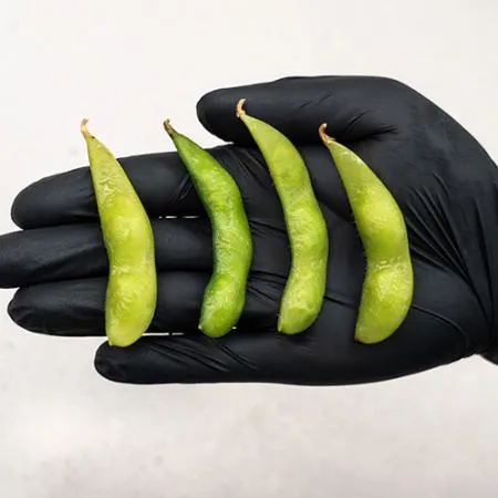 대용량 자숙대두 6.75kg(450g x 15팩) 풋콩 대두 콩 에다마메 안주 업소용 식당용 이미지