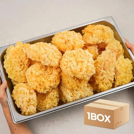 대용량 업소용 백목이버섯 6kg(1kg x 6팩) 목이버섯 흰목이 은이 건목이 말린 버섯 마라탕 이미지