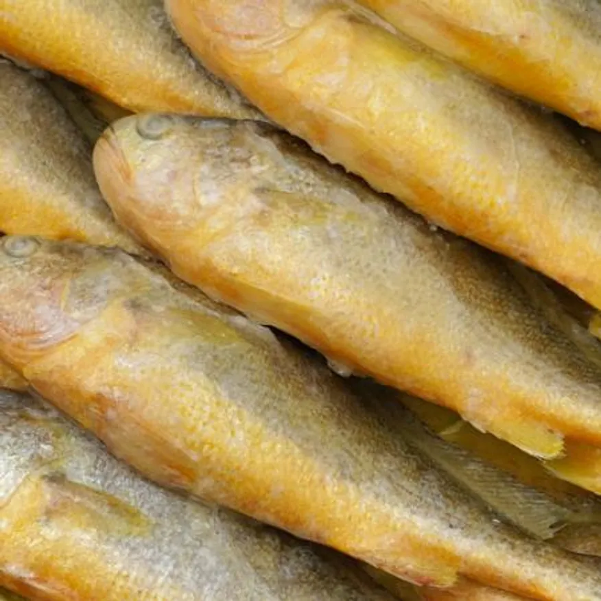 부세 조기 12마리 3.4kg 매운탕 조림 구이 이미지