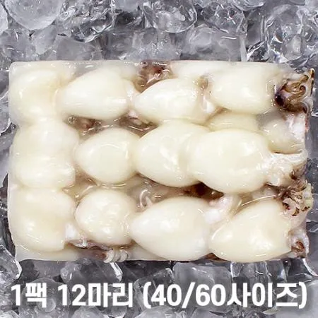 미니 갑오징어 2.16kg 9미(20/40) 베이비이까 이미지