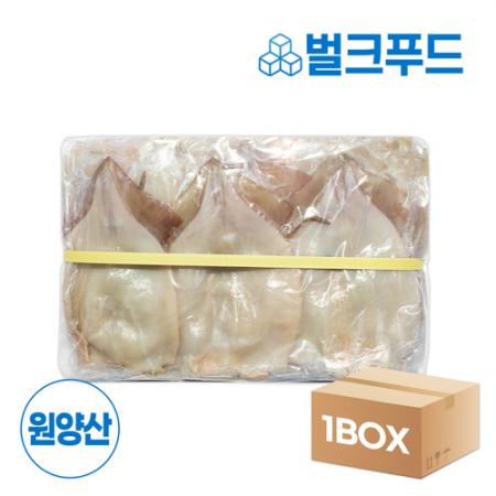 원양산 할복오징어 10kg(M) 냉동