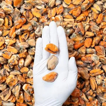 업소용 냉동 자숙 홍합살 10kg