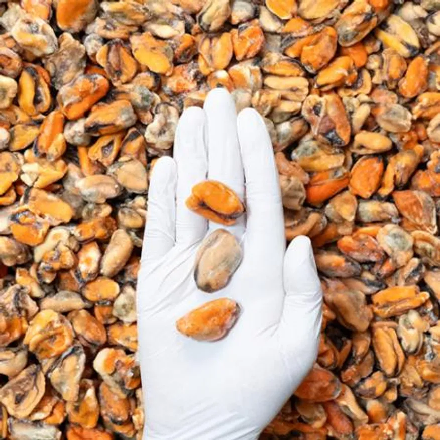 업소용 냉동 자숙 홍합살 10kg 이미지