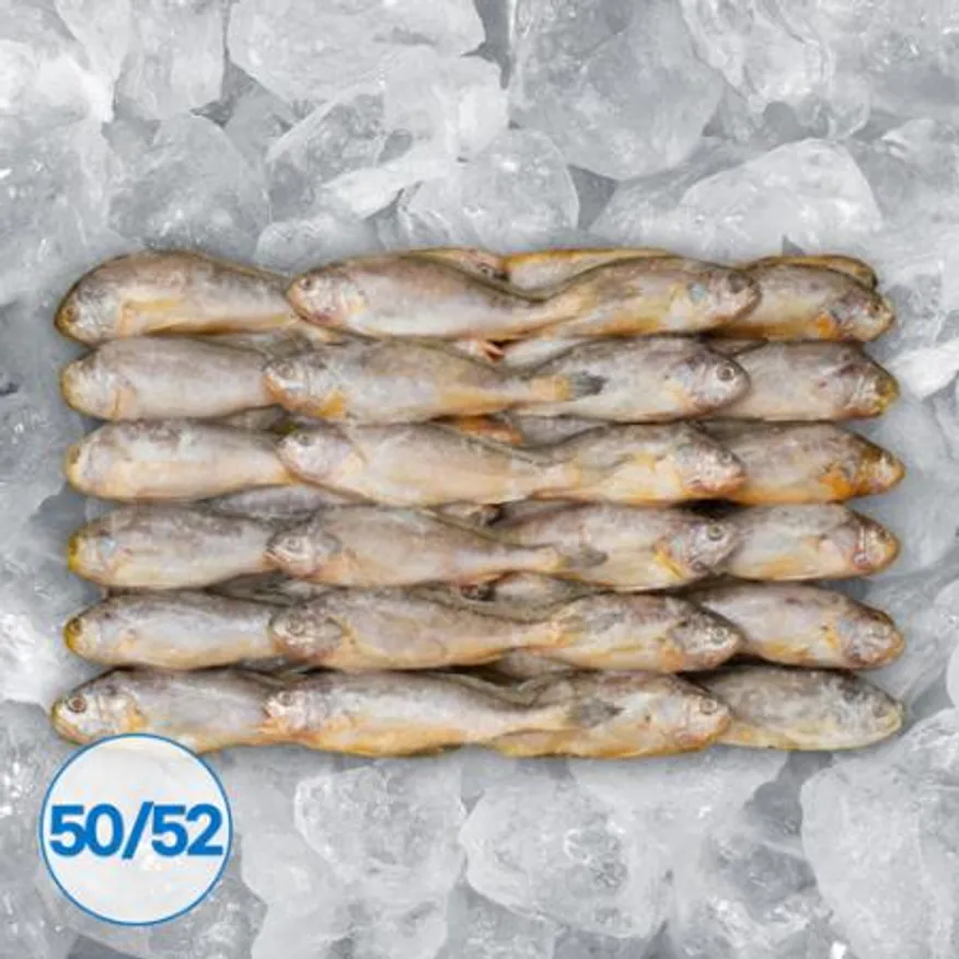 조기 참조기 50/52미 3.5kg 매운탕 조림 구이 이미지