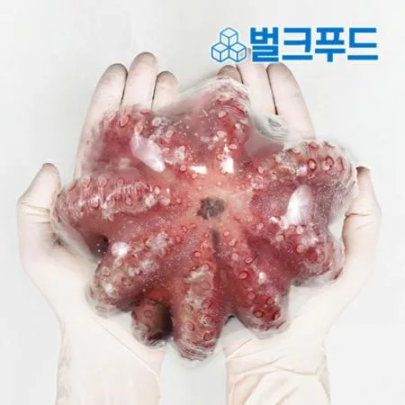 자숙문어 11미 8kg 냉동 손질 숙회 무침 이미지