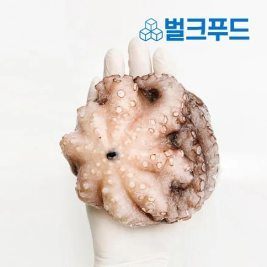 모리토니아 세척 냉동문어 8kg (16/20미) 업소용 손질 문어숙회 이미지