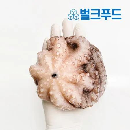 모리토니아 세척 냉동문어 8kg (16/20미) 업소용 손질 문어숙회 이미지