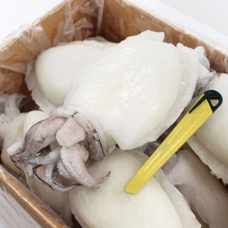 냉동 갑오징어 4kg(대) 300/500g 이미지