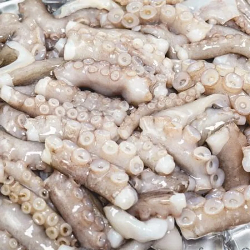 냉동 손질 절단낙지 10kg 이미지