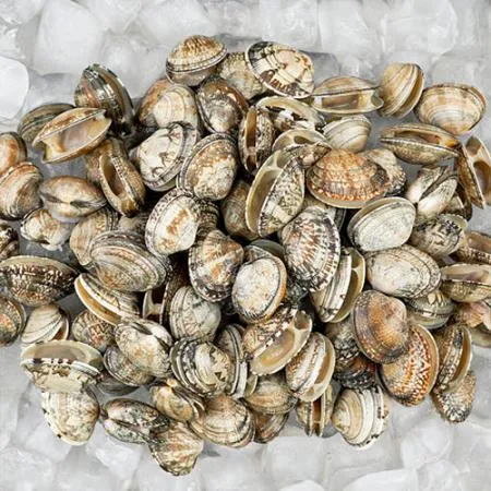 ★업소용 특가★냉동 바지락 5kg (해감, 칼국수, 피바지락) 이미지