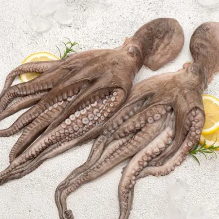 모리토니아 세척 냉동문어 8kg (50/70미) 업소용 손질 문어숙회 이미지