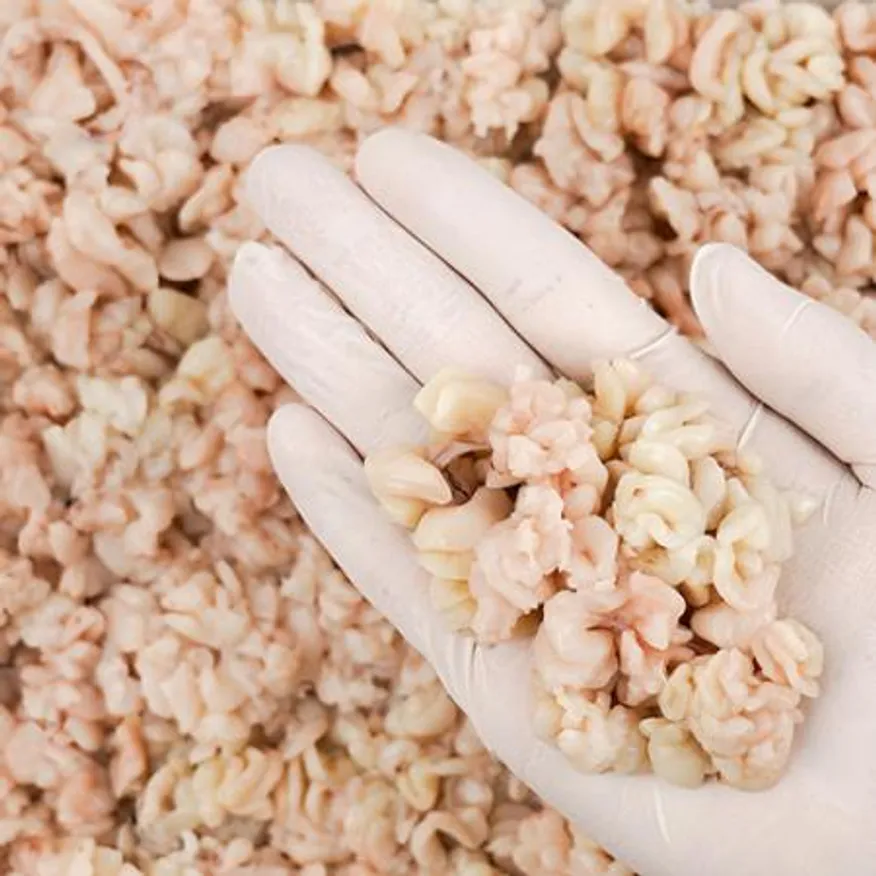 구물 업소용 명태 고니 곤이 7.6kg x 2박스 동태탕 알찜 알탕용 알탕재료 이미지