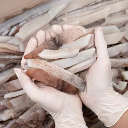 업소용 국내산 냉동 손질오징어 4kg 냉동오징어채 절단 이미지