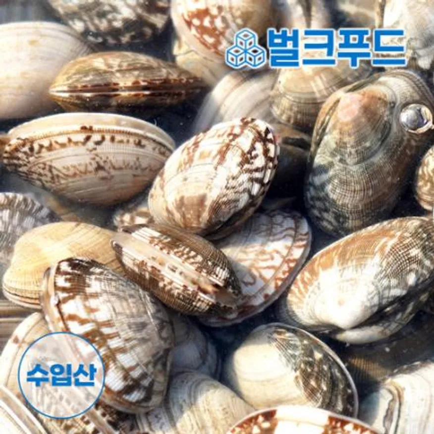 생물 바지락 2kg (칼국수, 술찜, 파스타) 이미지
