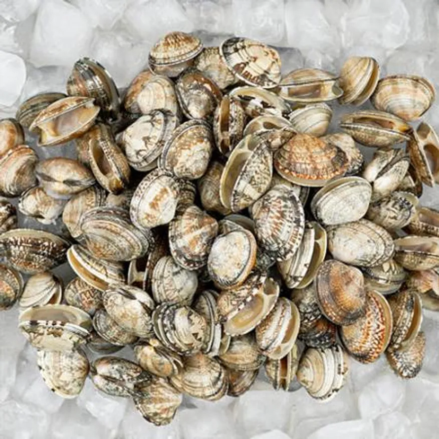 업소용 냉동 바지락 60/80 5kg 해감 조개 피바지락 칼국수 이미지