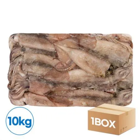 국내산오징어 10kg_30미내외(28-30미)