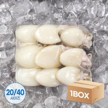 미니 갑오징어 2.16kg 9미(20/40) 베이비이까