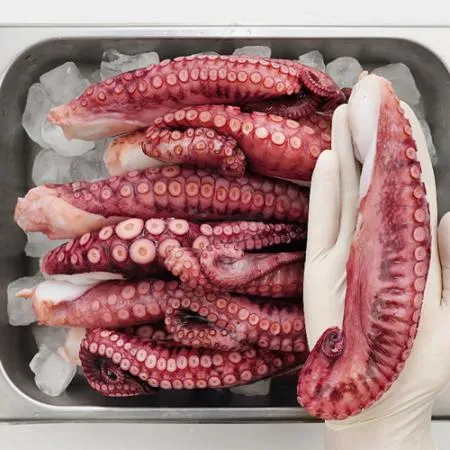 냉동 문어다리 중 2kg 손질 자숙 [마다가스카르]