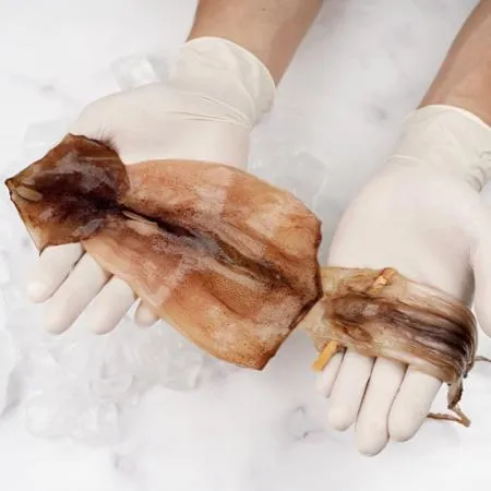 반건조오징어 소(900g내외) 10마리 마른 건조 오징어 피데기 건오징어 이미지
