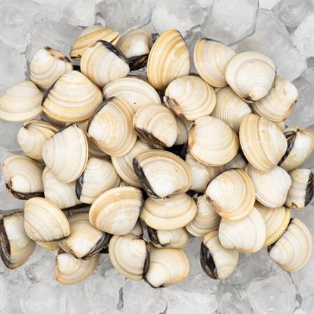 대용량 백합 조개 5kg(1kg x 5팩) 백생합 백상합 칼국수