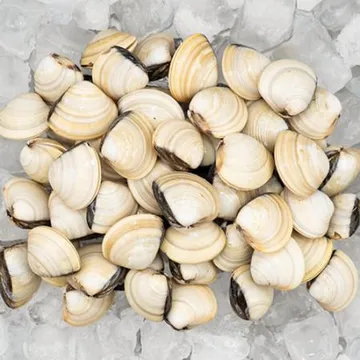 대용량 백합 조개 5kg(1kg x 5팩) 백생합 백상합 칼국수