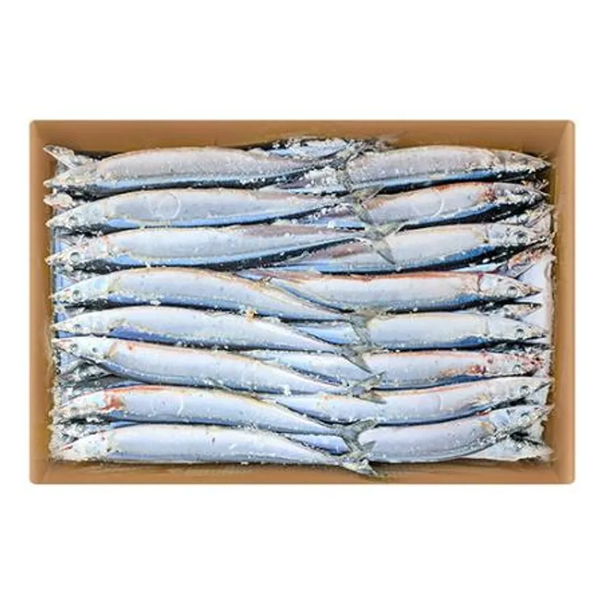 업소용 대용량 꽁치 18kg(9kg x 2박스) 냉동꽁치 1번 구이용 낚시용 생선 이미지