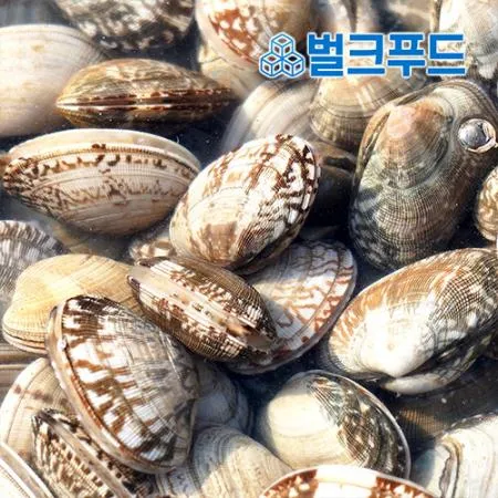 생물 바지락 15kg (칼국수, 술찜, 파스타) 이미지