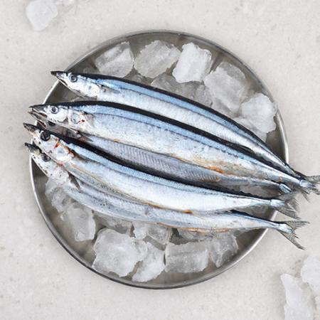 업소용 대용량 꽁치 9kg 냉동꽁치 1번 구이용 낚시용 생선