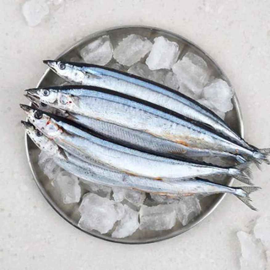 업소용 대용량 꽁치 9kg 냉동꽁치 1번 구이용 낚시용 생선 이미지