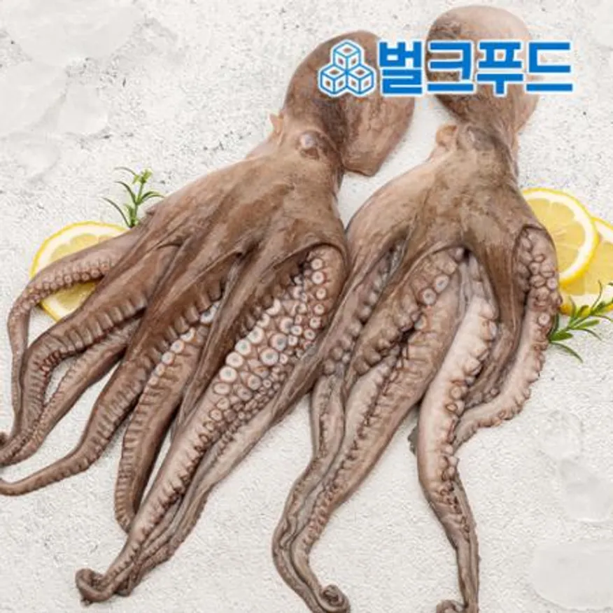 모리토니아 세척 냉동문어 8kg (16/20미) 업소용 손질 문어숙회 이미지