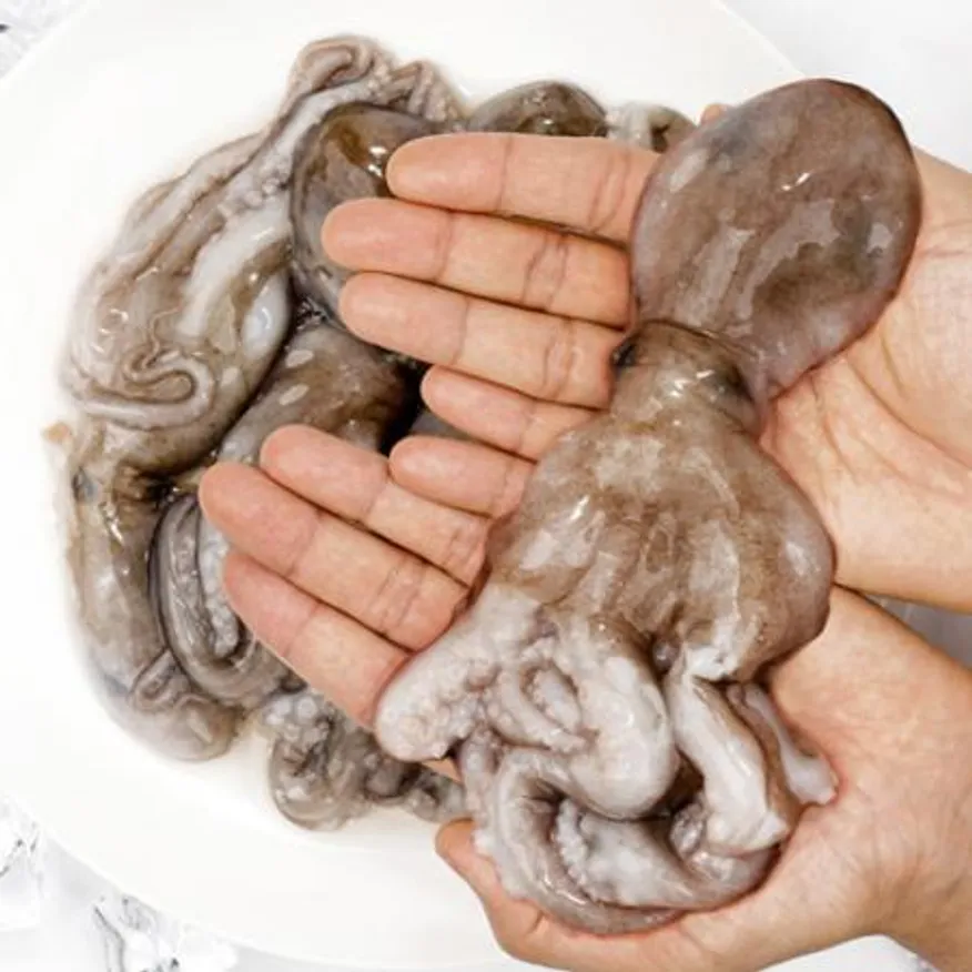 업소용 대용량 냉동낙지 10미 5.1kg(850g x 6팩) 활낙지 이미지