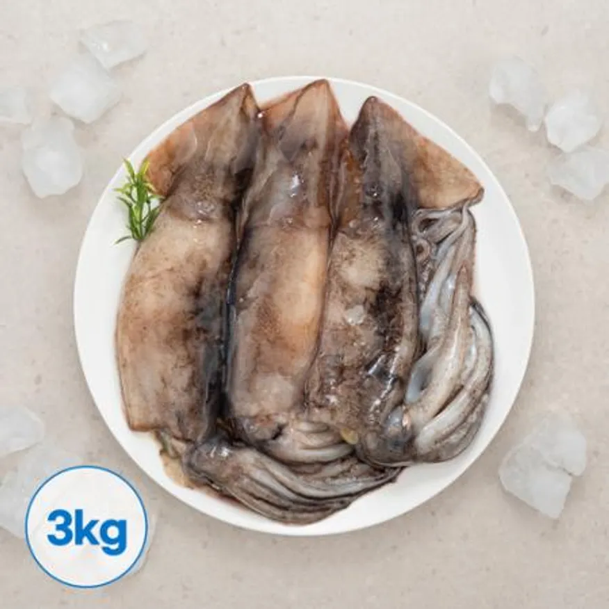 업소용 냉동 오징어 3kg 베이트오징어 10미 통오징어 대용량 이미지