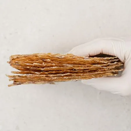 구운쥐포 200g 두꺼운 동전쥐포 쥐치포 건어물 어포 간식 이미지