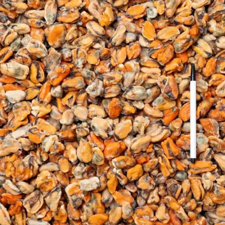 업소용 냉동 자숙 홍합살 10kg 이미지