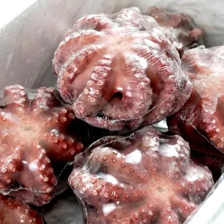 자숙문어 9미 8kg 냉동 손질 숙회 무침 이미지