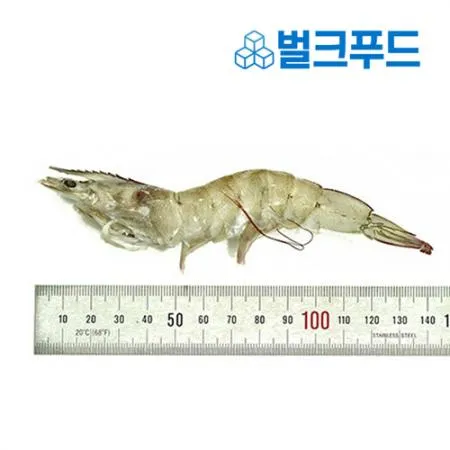 페루 흰다리새우 31/40 2kg 냉동새우 이미지