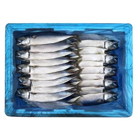 간고등어 20마리 소 [국내산] 이미지