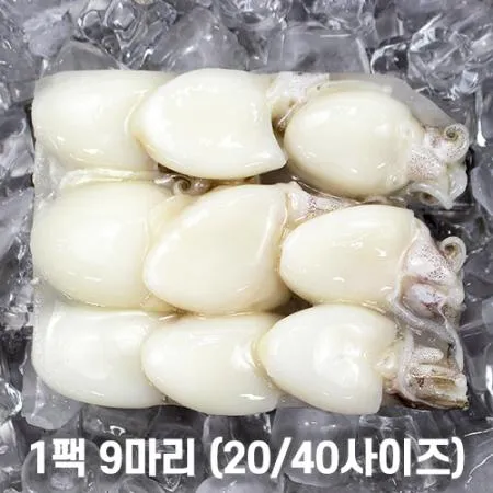 미니 갑오징어 2.16kg 12미(40/60) 베이비이까 이미지