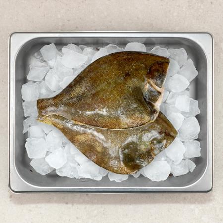 손질 냉동 가자미 4.5kg(대)