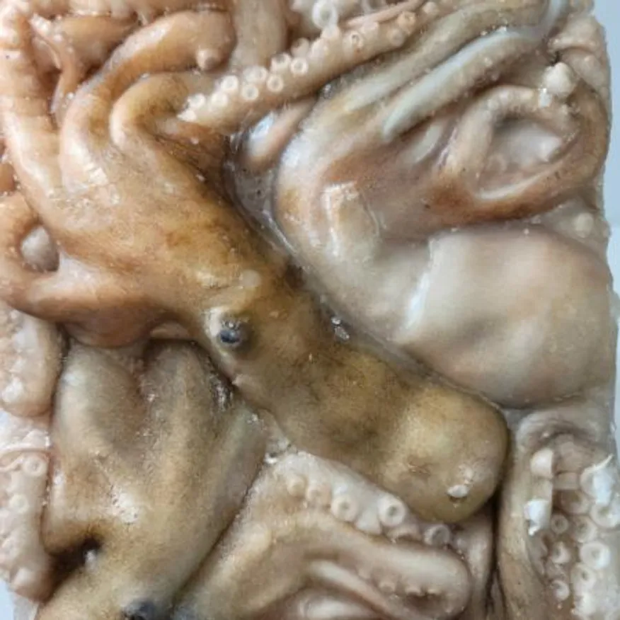 냉동 활낙지 4미 5.1kg 이미지