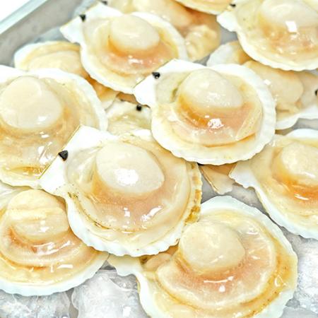 가리비 1.8kg 5/6미 (냉동, 반가리비)