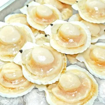 가리비 1.8kg 5/6미 (냉동, 반가리비)