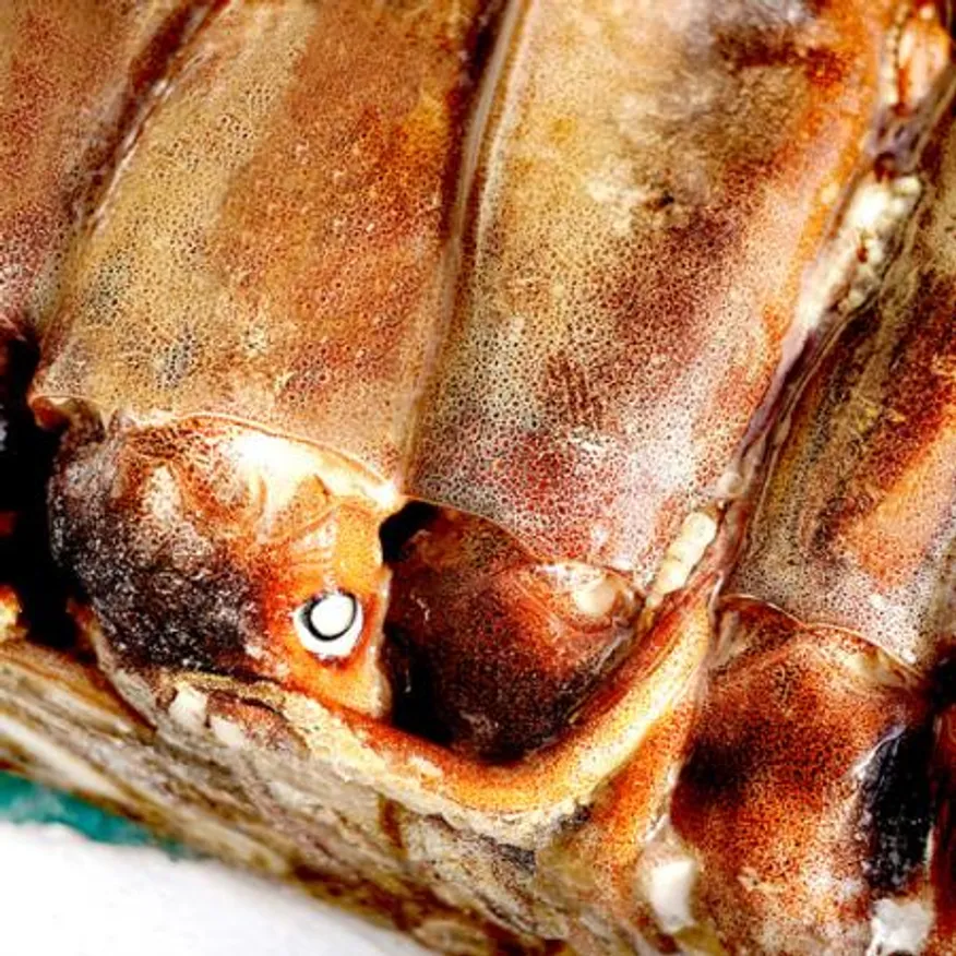 원양산 선동오징어 S사이즈 20kg 이미지