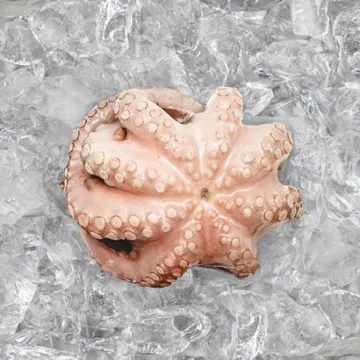 모리토니아 세척 냉동문어 8kg (50/70미) 업소용 손질 문어숙회