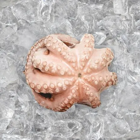 모리토니아 세척 냉동문어 8kg (50/70미) 업소용 손질 문어숙회