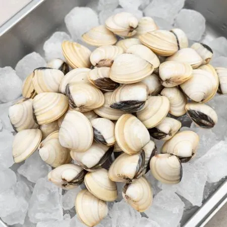 대용량 백합 조개 5kg(1kg x 5팩) 백생합 백상합 칼국수 이미지