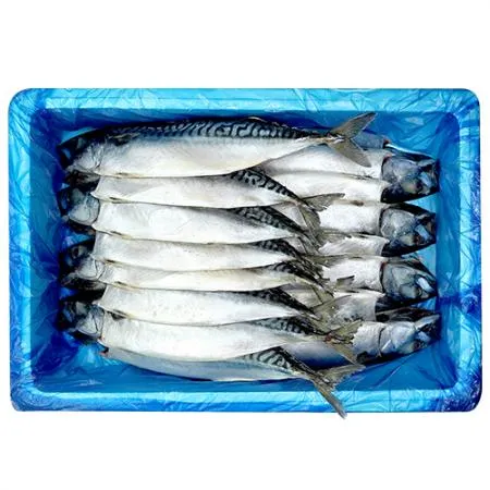 간고등어 16마리 왕왕특대 [노르웨이산] 이미지