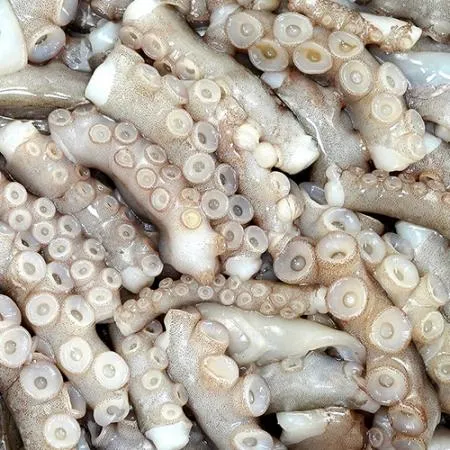 냉동 손질 절단낙지 10kg 이미지