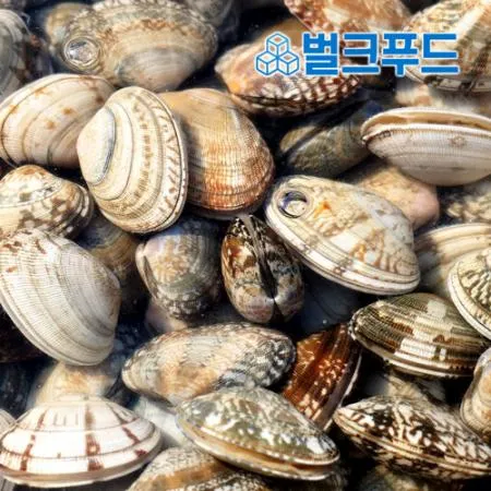 생물 바지락 2kg (칼국수, 술찜, 파스타) 이미지